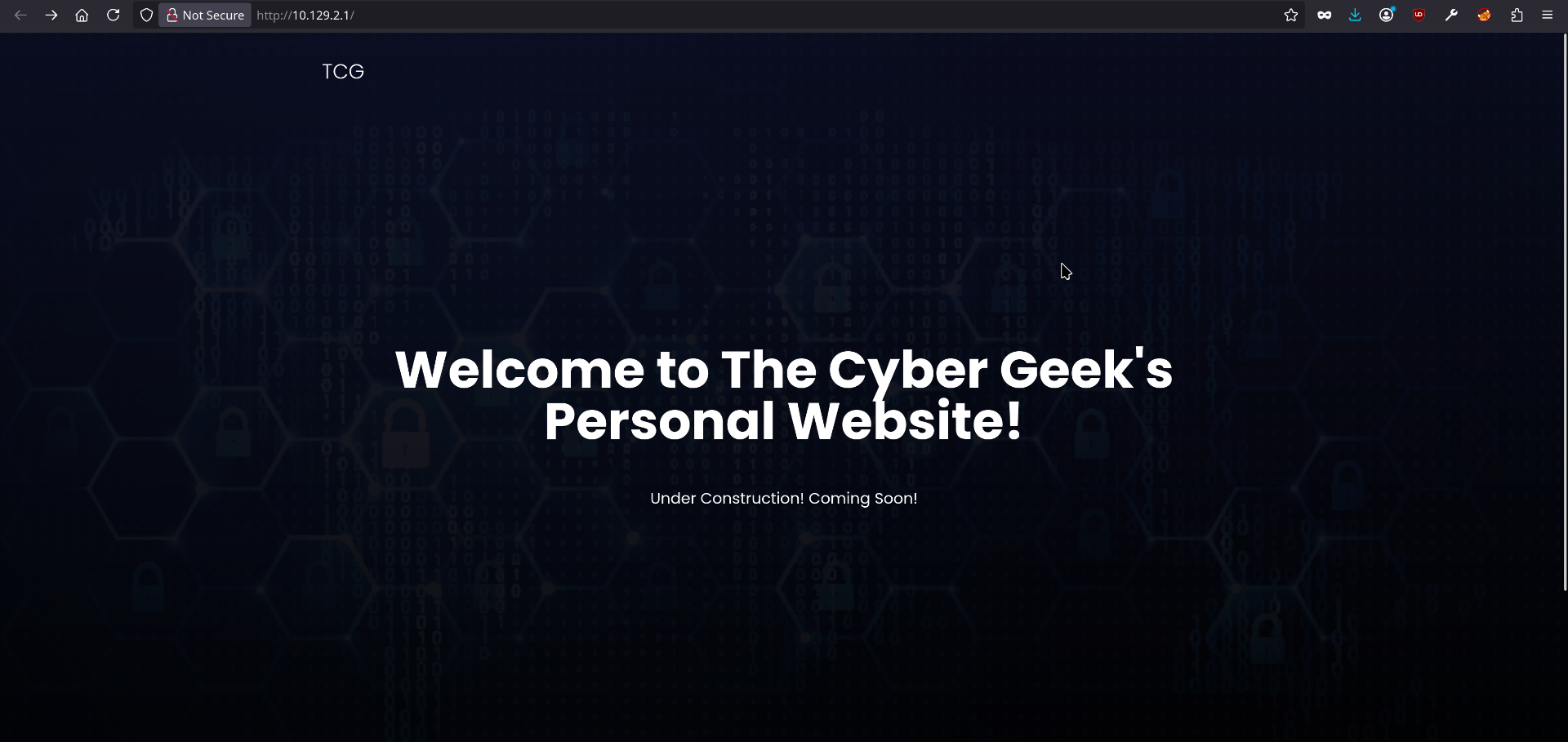 Port 80 website